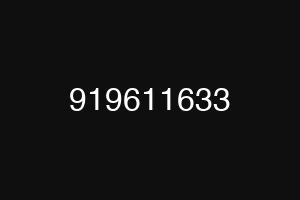 919611633