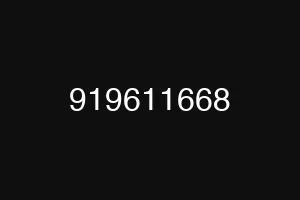 919611668