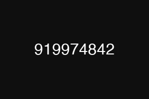919974842