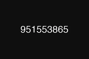 951553865