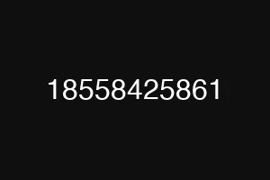 18558425861