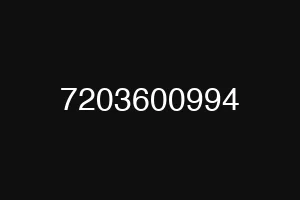 7203600994