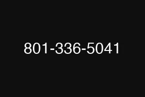 801-336-5041