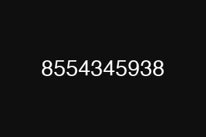 8554345938