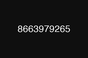 8663979265