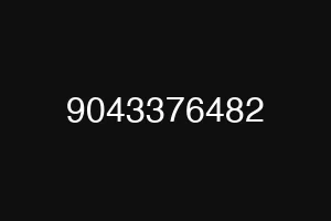 9043376482