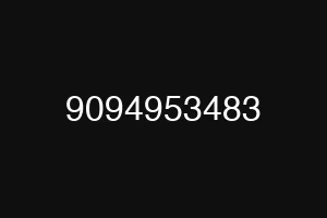 9094953483