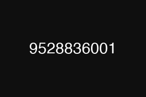 9528836001